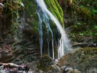 Wassersäulen an bemoostem Fels